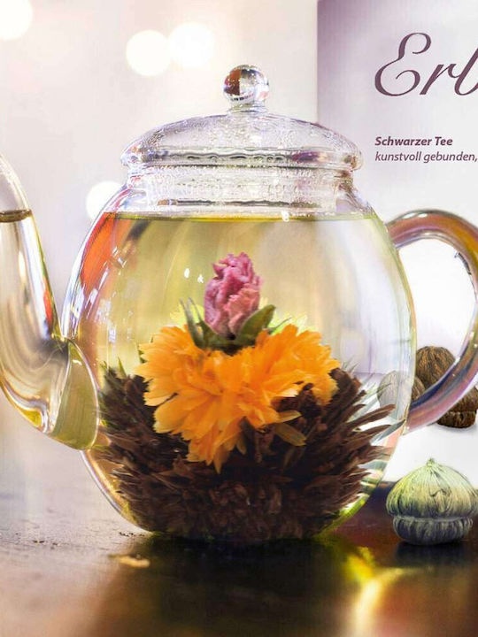 Creano Τσαγιέρα Γυάλινη Πολύχρωμη 500ml