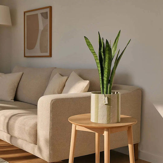 Phos & Gaia Multicolour Plant Pot
