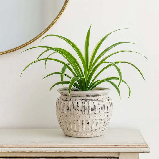 Phos & Gaia Ceramic Multicolour Plant Pot