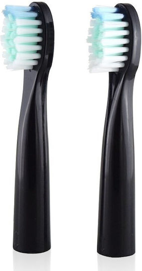 Oromed Basic Elektrische Zahnbürstenköpfe für elektrische Zahnbürste Black 2Stück