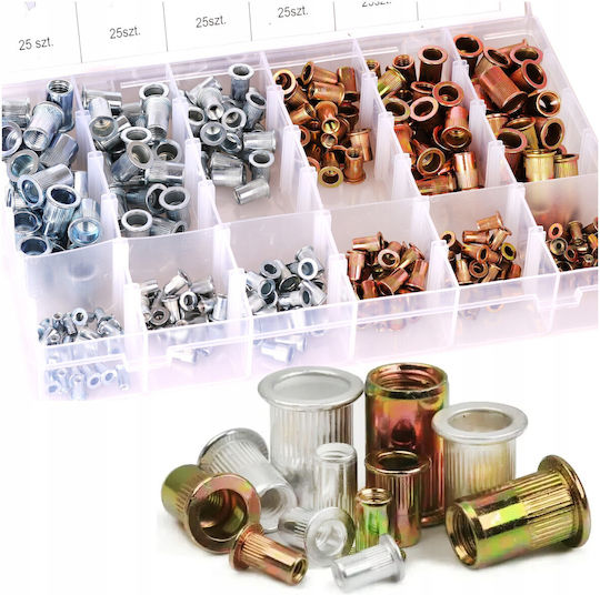 Set Cutie Cu Nuci 300 Bucăți