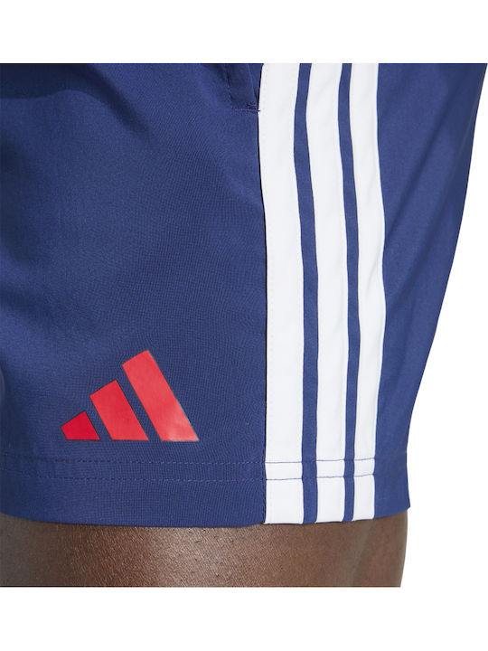 Men's Swimwear Shorts Blue Striped