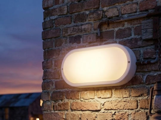 Adeleq Broasca Testoasă Led Încorporat 18W 4000K 26x13.5cm