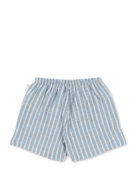 Kids Fabric Shorts/Bermuda Trio Blue Stripe