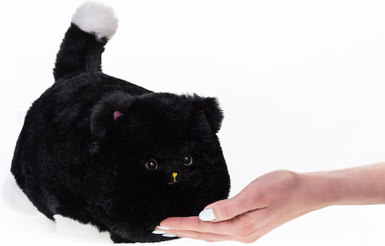 Plush Kitten with Motion & Sound for 3+ Years 28 cm