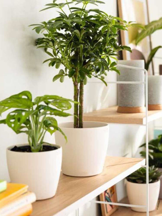 Next Plastic White Plant Pot 15.8x15.8x13.2cm