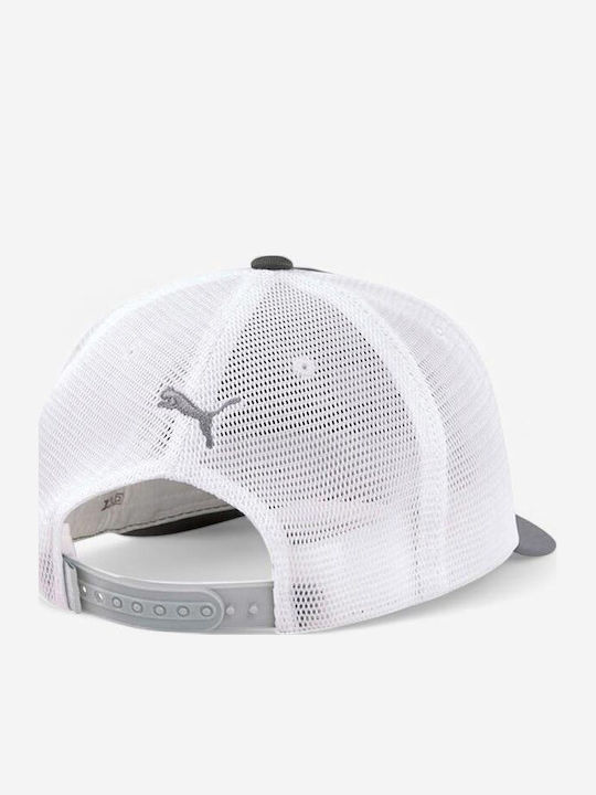 Puma Sundown LKW-Fahrer Snapback Kappen Grau Weiß