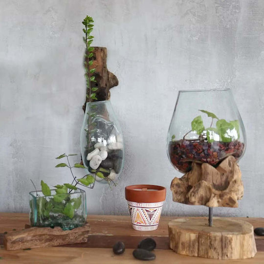 Phos & Gaia Handmade Transparent Glass Wall Decor 2 Pieces