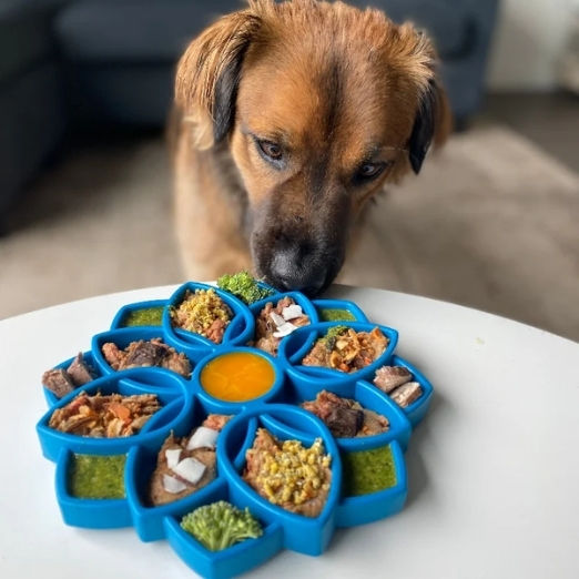 Sodapup Slow Feeder Food Bowl for Dog 20.3cm in Yellow Color