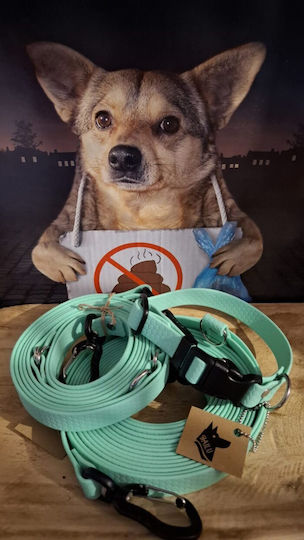 Bailu Dog Leash Lead Strap In Green Colour