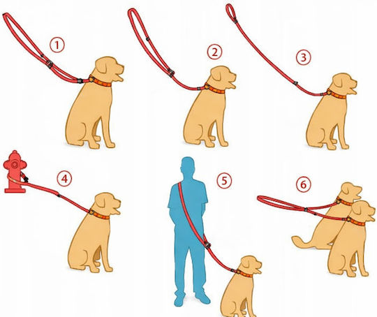 Bailu Dog Leash/Lead Strap In Brown Colour