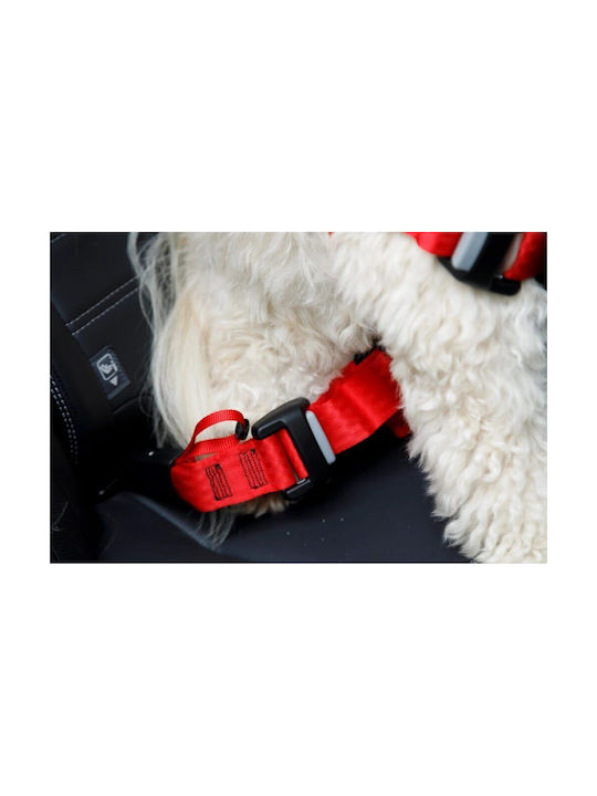 Zolux Travel Safe M Red Dog Harness Zolux Travel Safe M Red Dog Harness