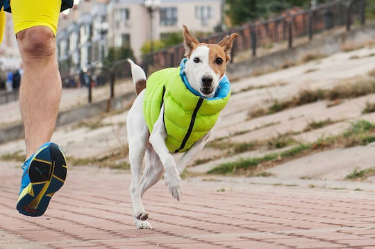 Doggy L 65 Ветроустойчив Airyvest Двустранен Светлозелен + Син