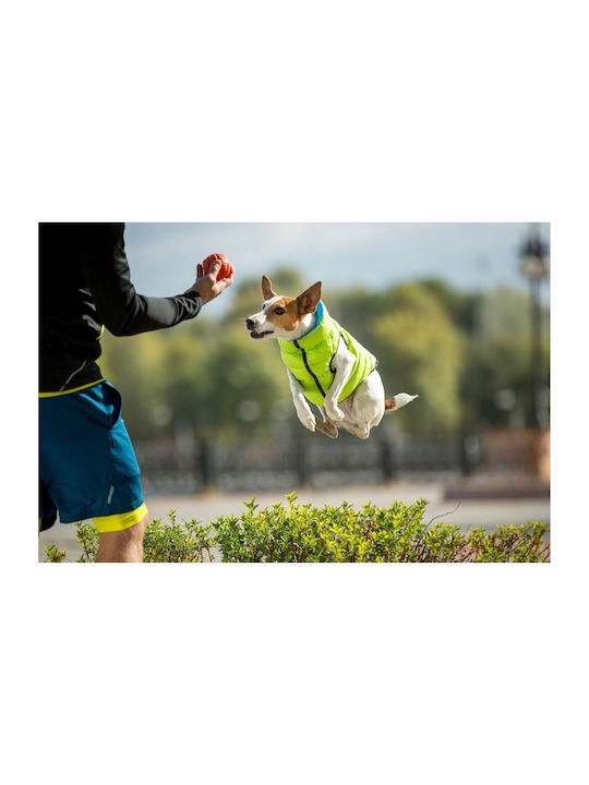 Doggy Dolly L 65 Wasserdicht Airyvest Doppelter Seite Offenes Grün + Blau