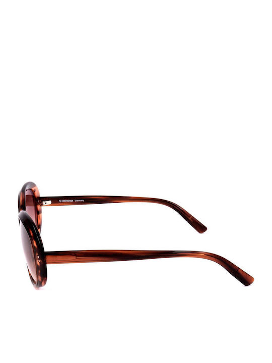 Rodenstock Women's Sunglasses with Brown Tartaruga Acetate Frame and Brown Lenses R3310 C