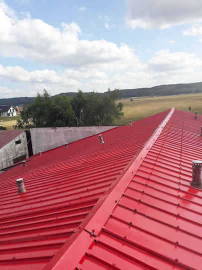 Solidpaint 302 Rustproof Paint Anti-corrosion Metal Roof Iron 4.85 L Ral 7043
