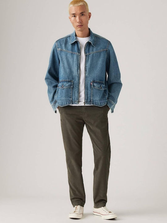 Xx Standard Παντελόνι Chino Ελαστικό σε Tapered Γραμμή Browns