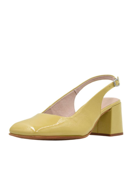 Wonders