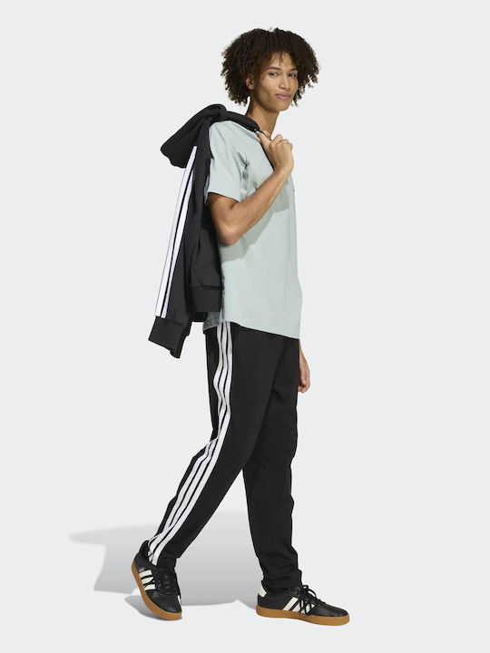 M S Tricou Verde