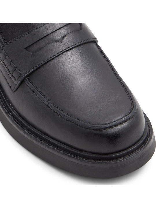 Aldo