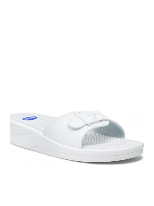 Scholl
