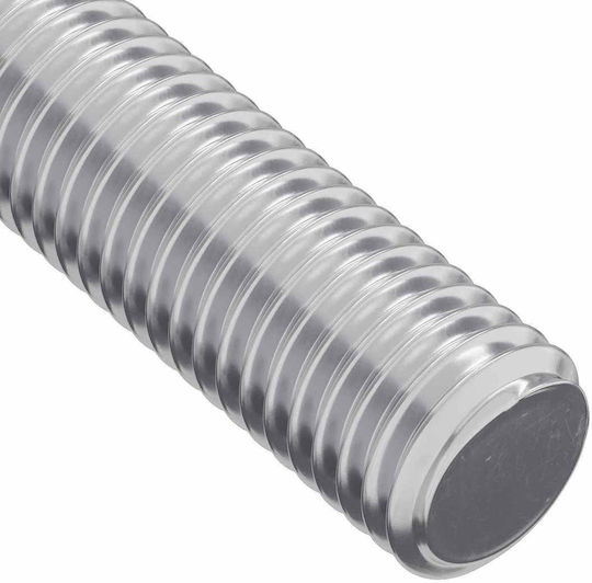 vidaXL Screw with Diameter M6 and Length 170mm 12 Pieces