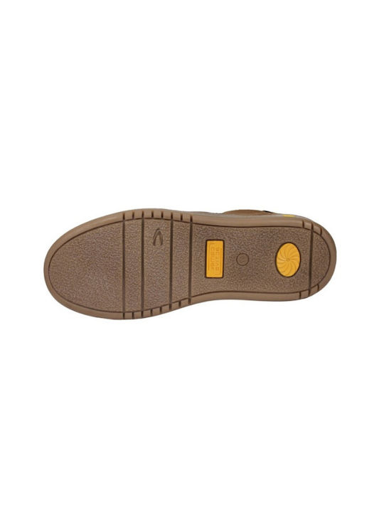 Men's Sneakers Brown / Blue