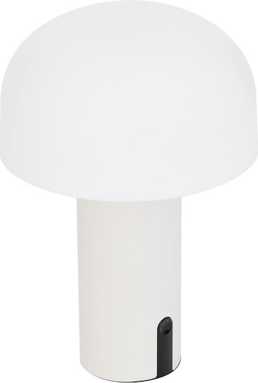 Lămpi Decorative Pentru Masă Jany LED 15x15x22cm