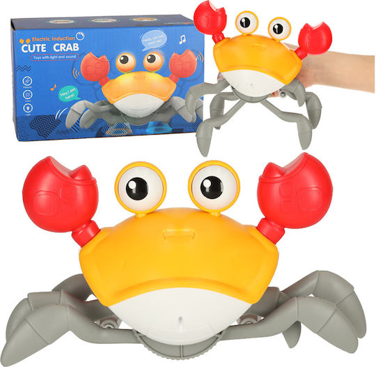 ikonka Baby Aktivitätsspielzeug Mit Musik Und Sounds Für 36+ Monate
