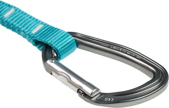 Petzl Djinn Axess Quickdraw 25cm Turquioise