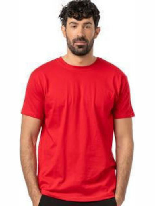 Short Sleeve Red Blouse