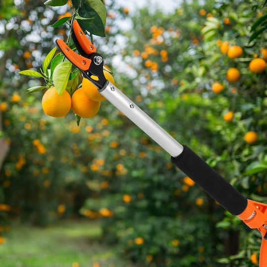 Foarfecă De Ramuri Zola 100 Cm Lungime Mâner Ergonomic Reglaj Unghi Tăiere 90° Roșu Argintiu