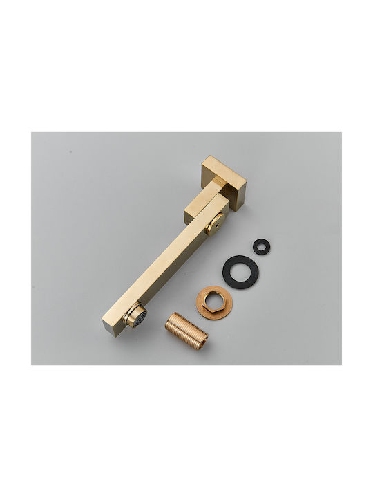 Set De Mixer Muștiuc Telefon Și Cap De Duș Încorporați Pentru Duș