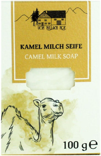 Camel Milk Soap Skin Hair 100g