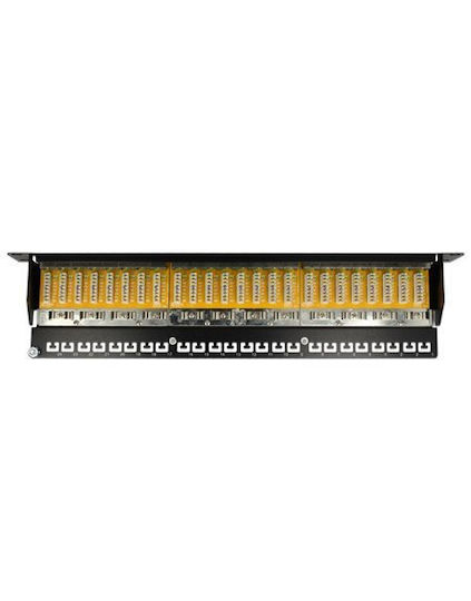 DeLock Patch Panel για Rack 1U 24 Θυρών cat6 Γκρι