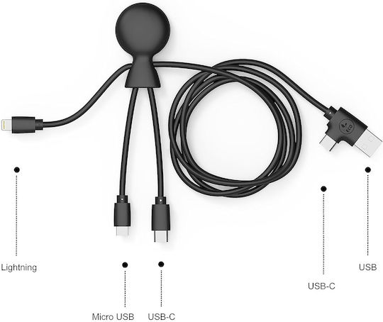 Xoopar Редовна USB към Lightning / Type-C Кабел Черен 1м