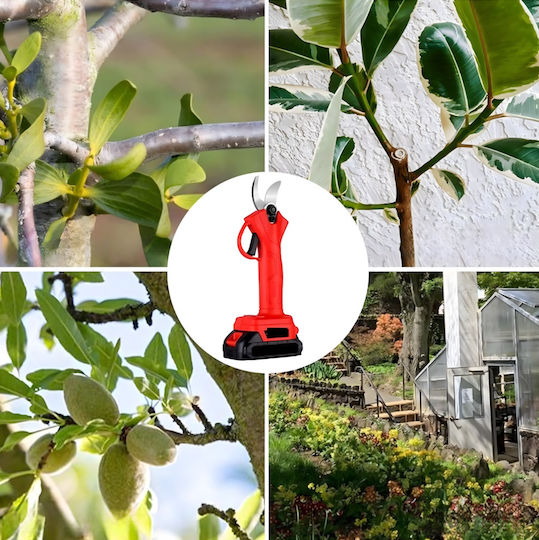 Zola Akku-Gartenschere 48V mit Maximaler Schnittdurchmesser 30mm