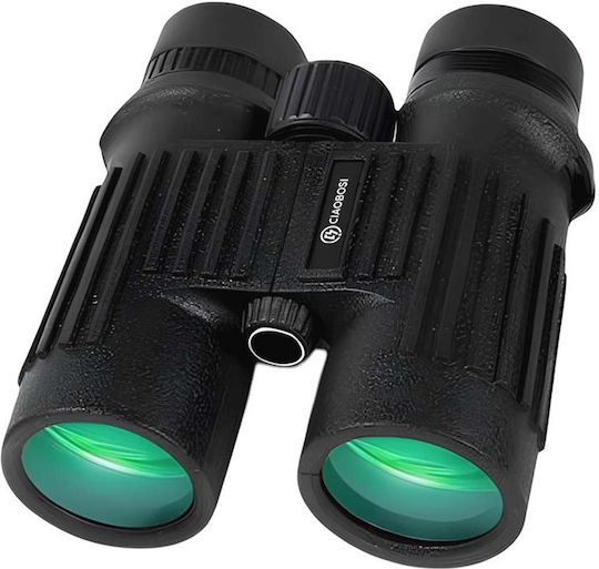 Avizar Hd Binoculars 10x42 Magnification Waterproof Anti-fog Black