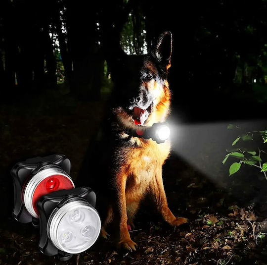 Zola Hundetags mit LED-Licht Weiß-Rotes Licht Silikon Kunststoff Ipx5 4 Beleuchtungsmodi Schwarze