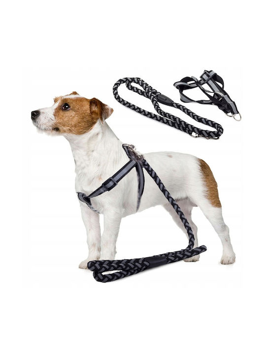 Hundegeschirre Leine Set Schwarz Fluoreszierend 106x1.2 Cm