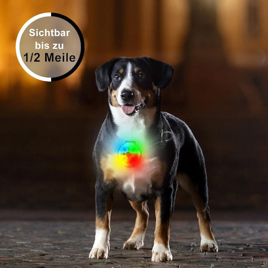 Led Anhänger Halsband 3 Lichtmodi Wasserdicht Kunststoff Weiß