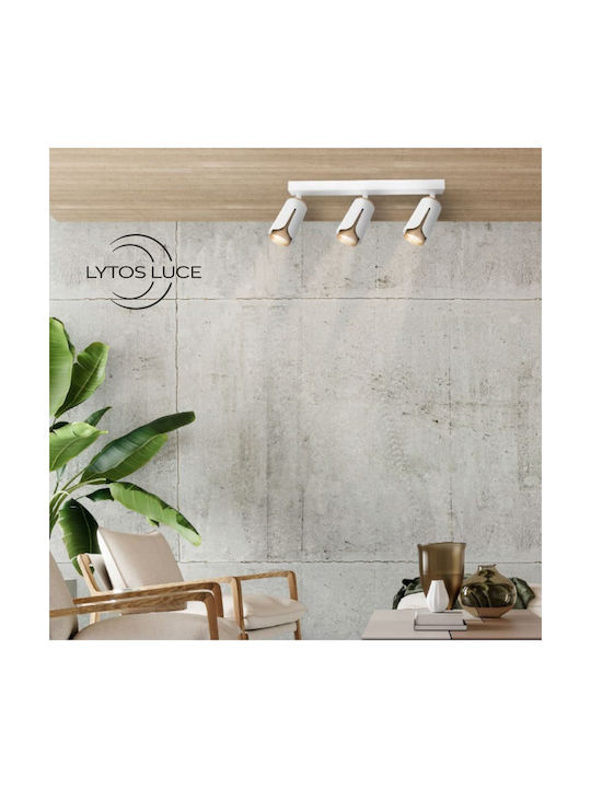 Redled Single Spot in Black Color
