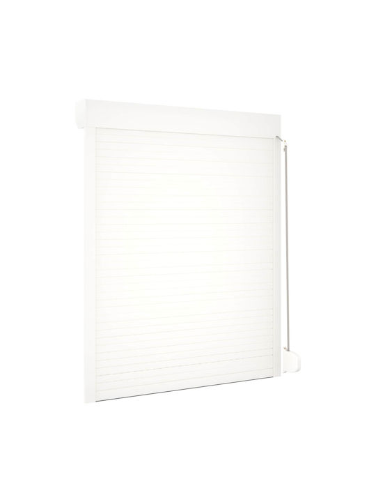 vidaXL Aluminium Fensterladen Rolle P120xH150cm