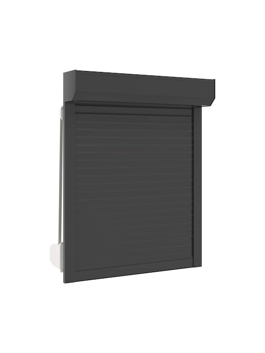 vidaXL Aluminium Fensterladen Rolle P70xH100cm
