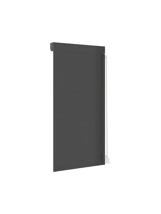 vidaXL Oblon Rulou din Aluminiu L100xÎ210cm