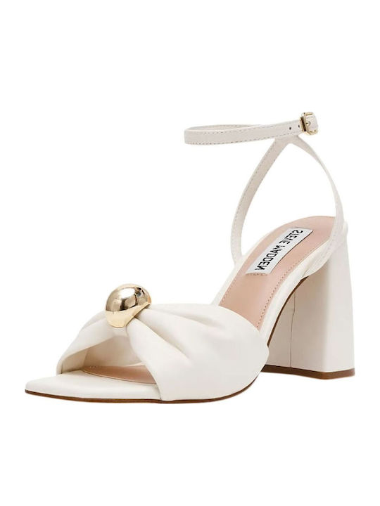 Steve Madden