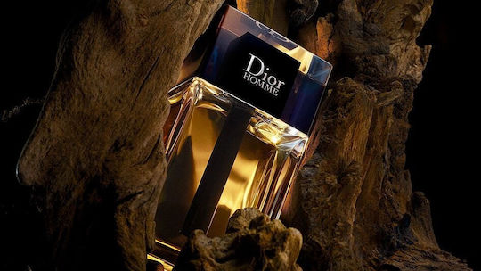 Dior Homme Eau de Toilette 100ml