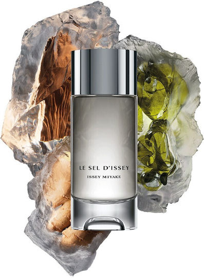 Issey Miyake D’issey Herren Set mit Eau de Toilette