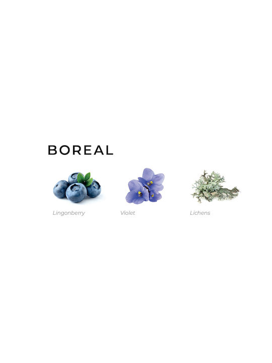 Αρωματικό Σπρέι Annatwelve Cube Luxury 200ml Boreal