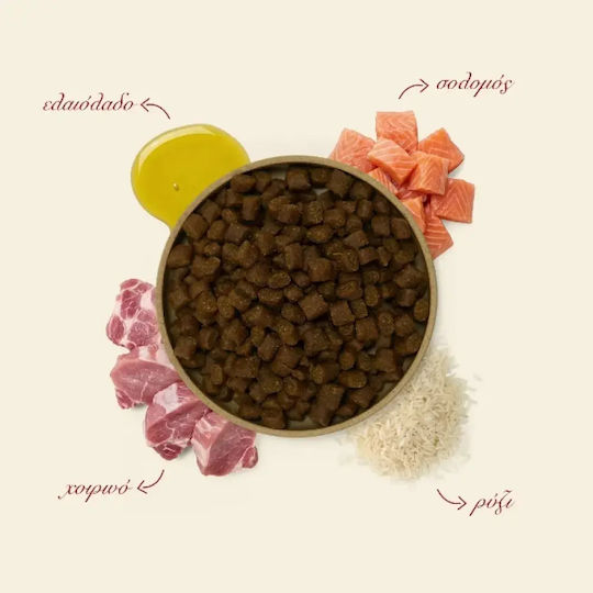 Ethelia Coat & Skin For Adult & Puppies 12kg Dry Food For Adult Dogs With Pork And Salmon